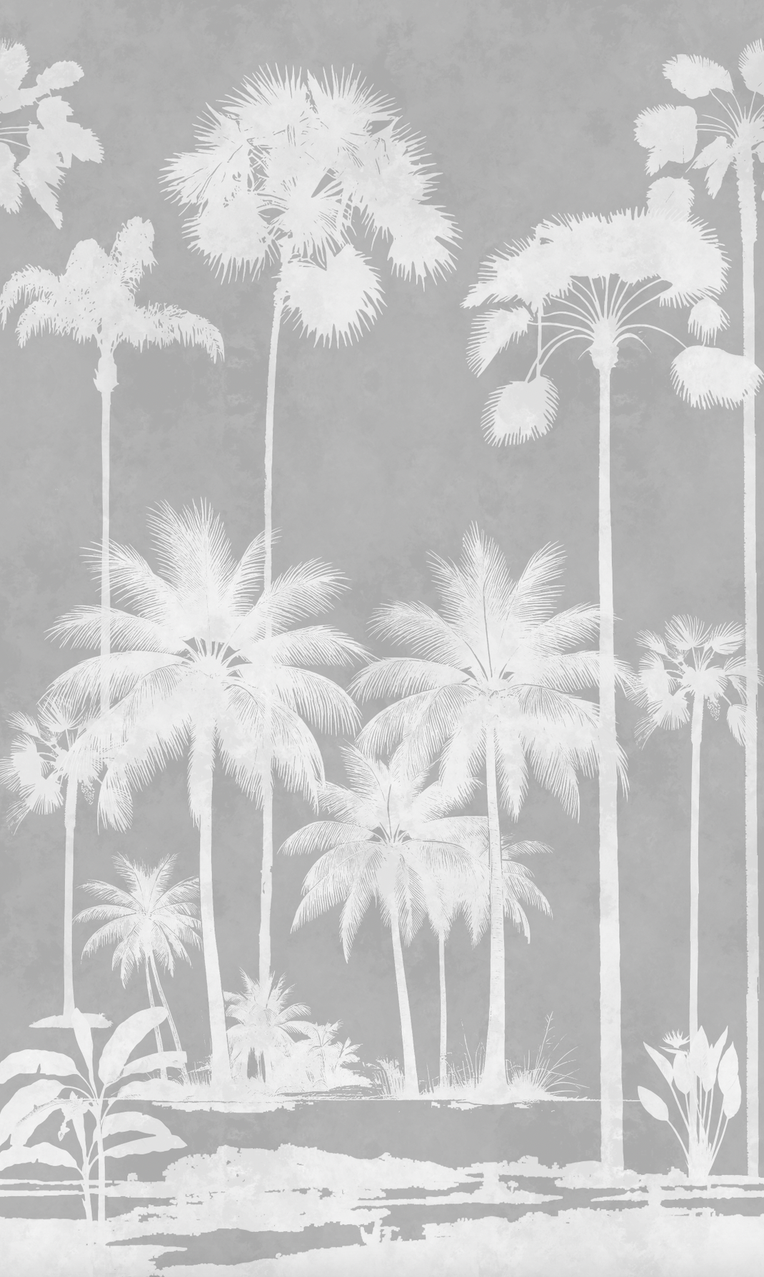 Africa Gris