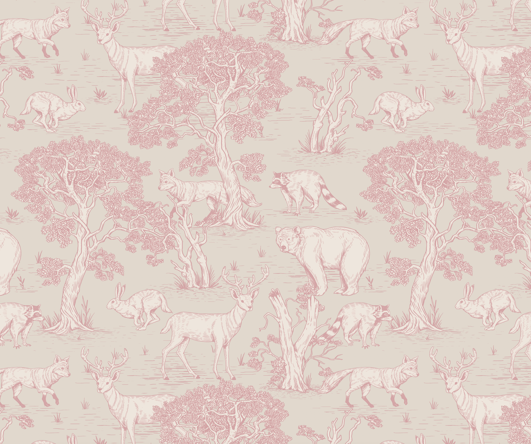 Mapache Rosa
