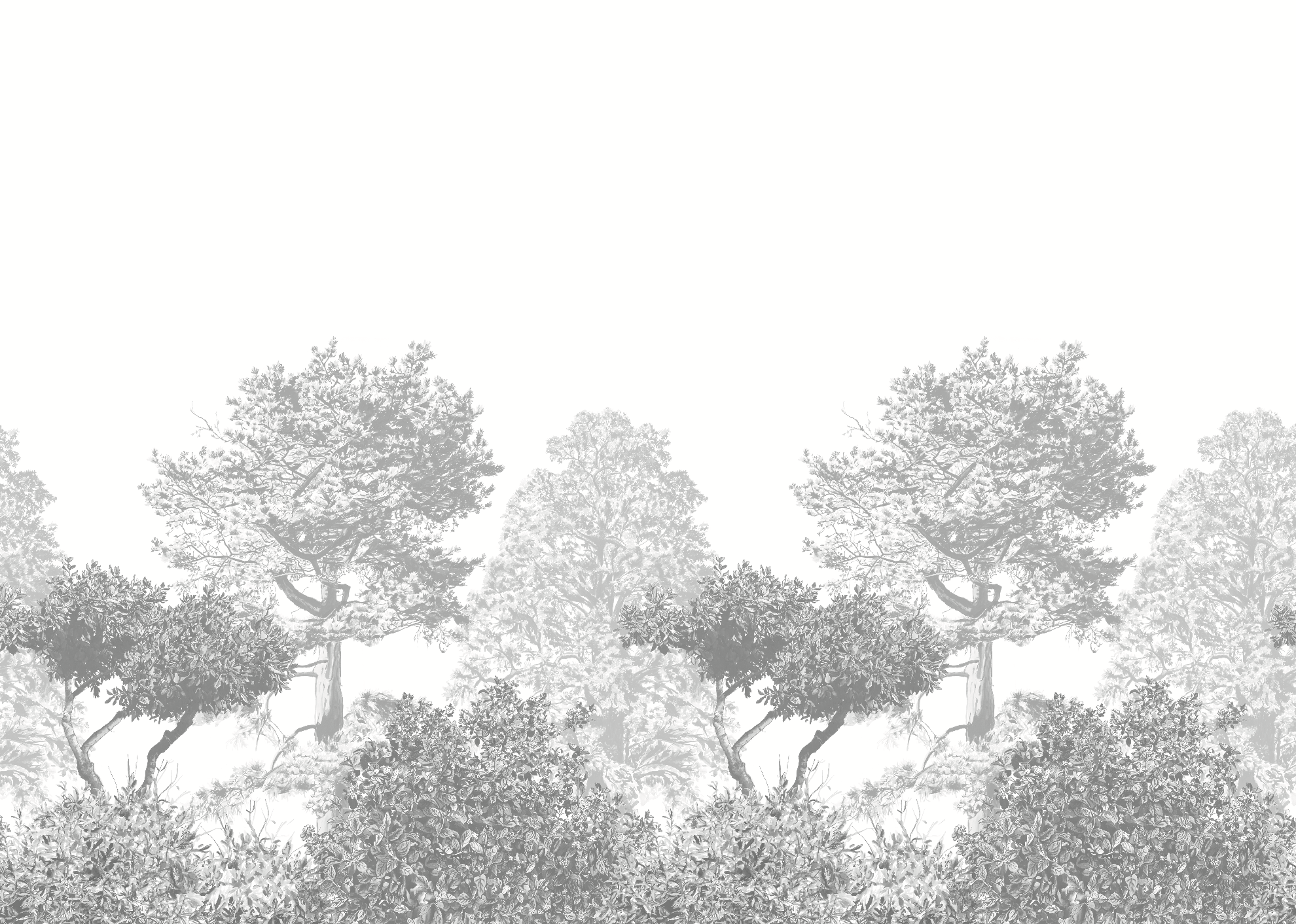 Bosque Gris
