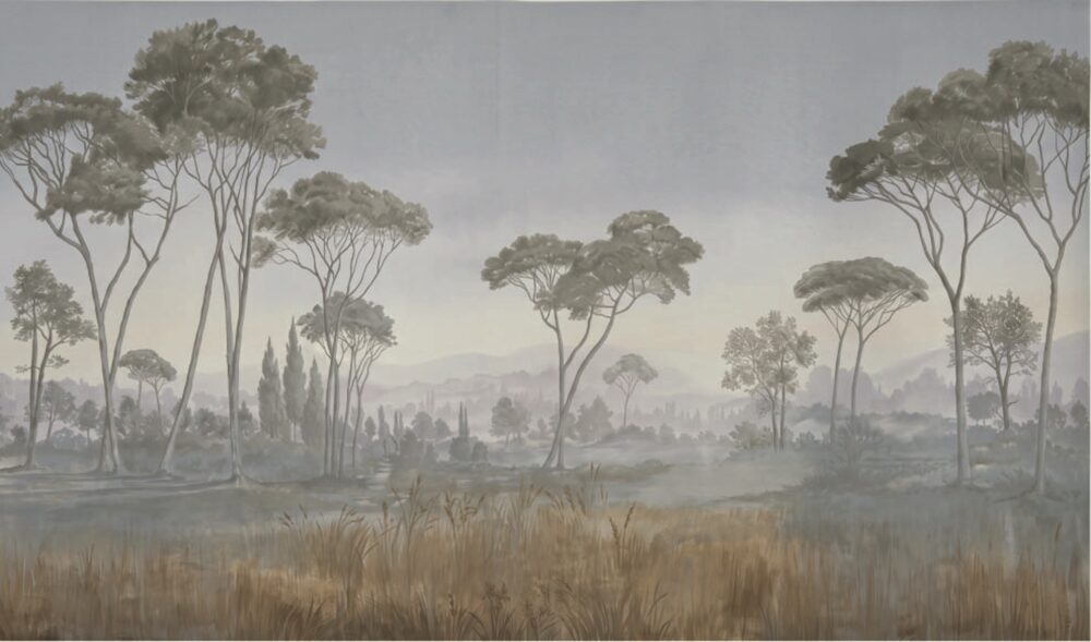 Papel mural Bosque Nublado Oscuro