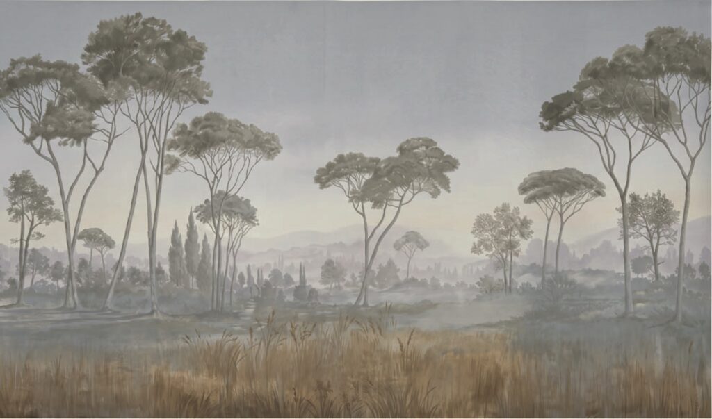 Papel mural Bosque Nublado Oscuro