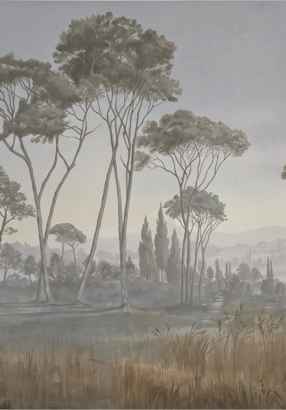 Papel mural Bosque Nublado Oscuro
