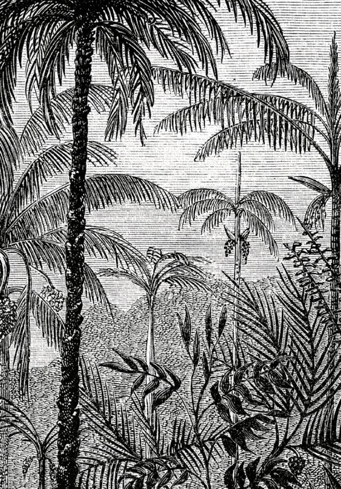 Acercamiento del papel mural AMAZONAS donde se aprecia la textura
